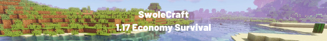 SwoleCraft – Economy Survival
