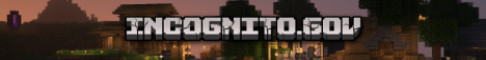 Incognito.gov Minecraft server