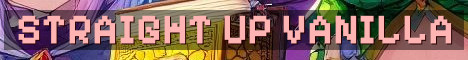 Straight Up Vanilla No Resets SMP