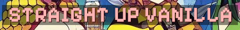Straight Up Vanilla No Resets SMP