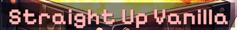 Straight Up Vanilla No Resets SMP