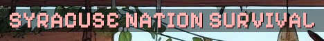 Syracuse Nation City Survival