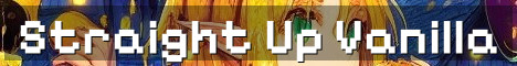 Straight Up Vanilla No Resets SMP