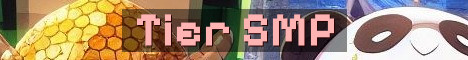 Tier SMP Semi Anarchy PvP Progression
