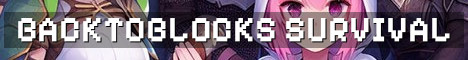 BackToBlocks Semi Vanilla Survival With QoL