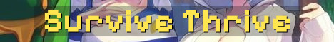 Survive & Thrive 17+ Vanilla SMP