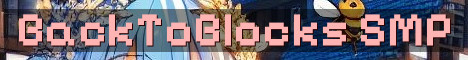BackToBlocks Vanilla Survival SMP With QoL