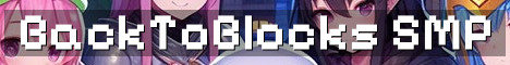 BackToBlocks Vanilla Survival With QoL